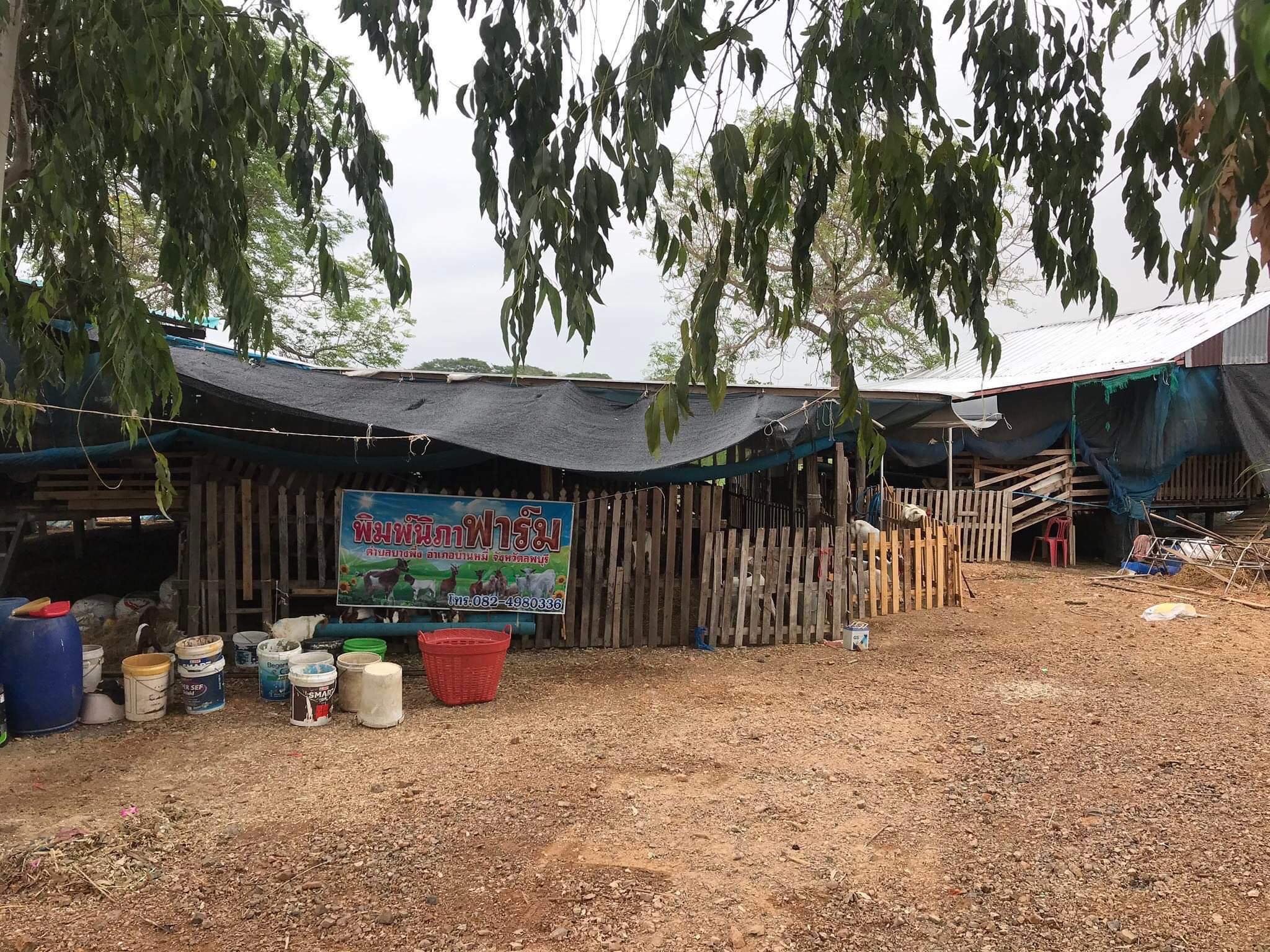 277339037 1101111090451079 2476996213345538942 n